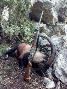 Greek-Mountain-Hunting28